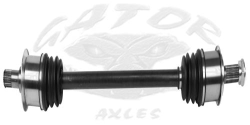 2003-08; Honda Element;  (Rear Passenger Right, Male; Automatic, Manual)